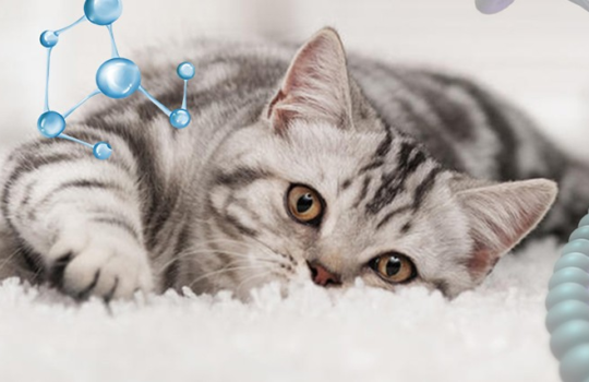 4eab7cc7c7163caa7cd7bb2c39a87a7