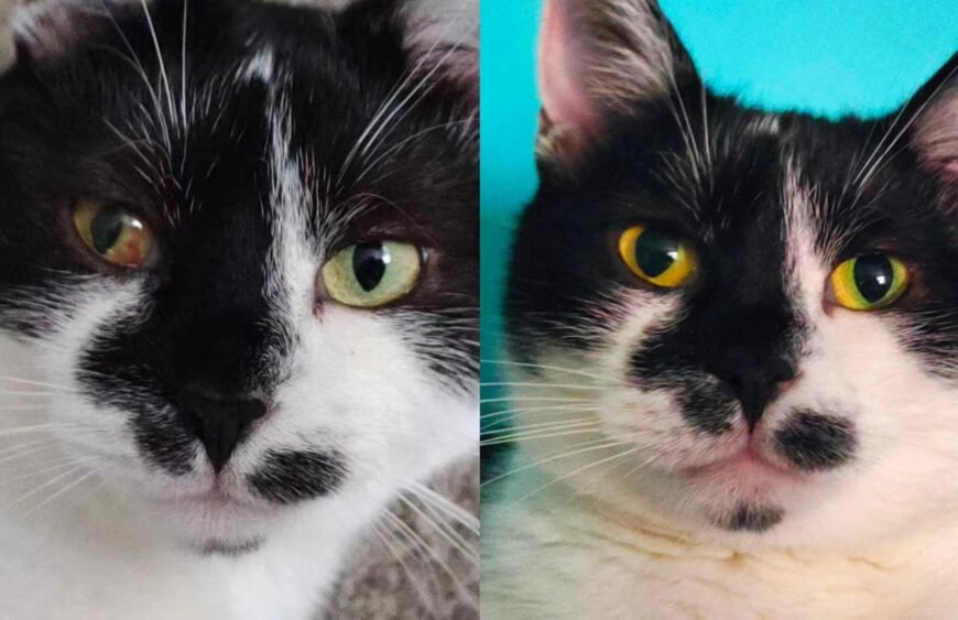 53a7ce38075318d4410454bc7eaaa41