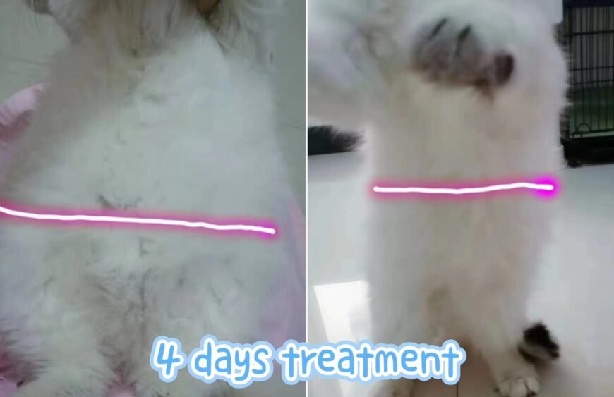 8f74a35323bee839354438fcd33fca2