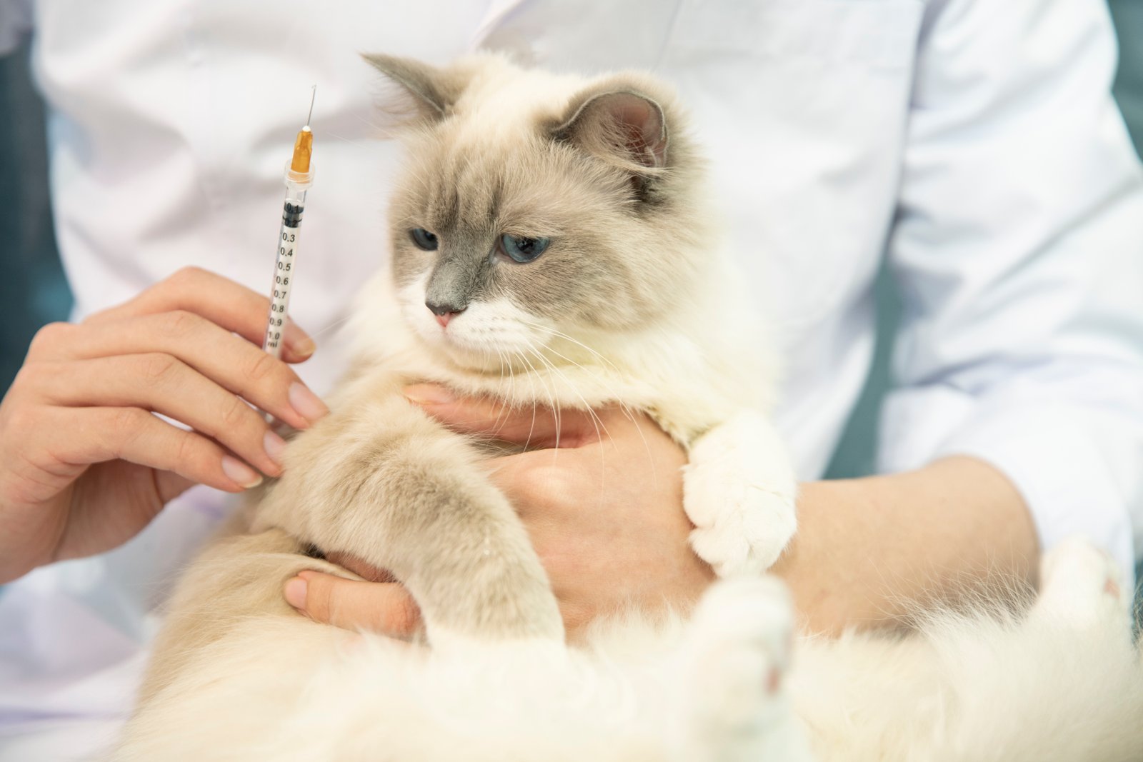 About us – Lucky FIP